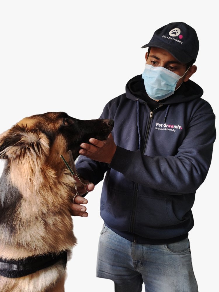 Pet Groomly – Best at-home Grooming Services at an affordable cost for every pet parent