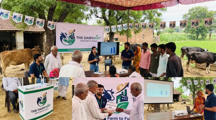 Understanding The DairyMint's Modern Dairy Business Model