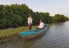 Mangrove Ecosystems: Nature's Living Shield Against Climate Change and Coastal Disasters